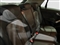 Audi Q2 Image 6