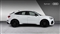 Audi Rs Q3 Image 4
