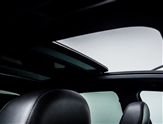 Audi SQ5 Image 3