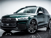 Audi SQ5 Image 5
