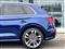 Audi SQ5 Image 10