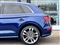 Audi SQ5 Image 10