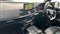 Audi SQ5 Image 2