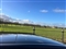 Audi SQ7 Image 10