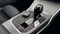 BMW 3 Series Image 10
