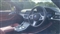 BMW 4 Series Image 6