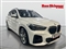 BMW X1 Image 1