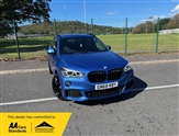 BMW X1 Image 1