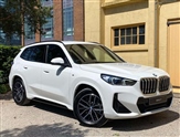 BMW X1 Image 1