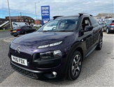 Citroen C4 Cactus Image 2