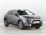Citroen C4 Cactus Image 2