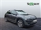 Citroen C4 Cactus Image 1