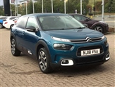 Citroen C4 Cactus Image 1