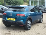Citroen C4 Cactus Image 5