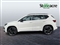 Cupra Ateca Image 6