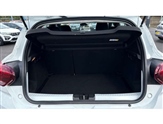 Dacia Sandero Stepway Image 4
