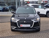 Ds Ds 3 Image 3