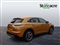 Ds Ds 7 Image 8