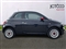 Fiat 500 Image 4