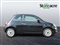 Fiat 500 Image 2