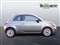 Fiat 500 Image 2