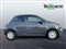 Fiat 500 Image 2