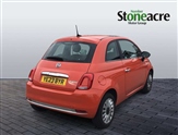 Fiat 500 Image 2