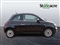Fiat 500 Image 2