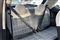 Fiat 500 Image 10