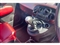 Fiat 500 Image 10