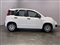 Fiat Panda Image 9