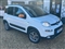 Fiat Panda Image 4
