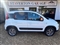 Fiat Panda Image 5