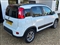 Fiat Panda Image 6