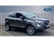 Ford EcoSport Image 1