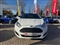 Ford Fiesta Image 2