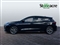 Ford Focus Image 6