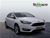 Ford Focus Image 1