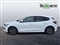 Ford Focus Image 7