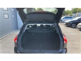Ford Focus Image 4
