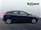 Ford Focus Image 2