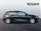 Ford Focus Image 2