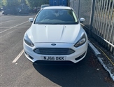 Used Ford Focus