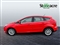 Ford Focus Image 6