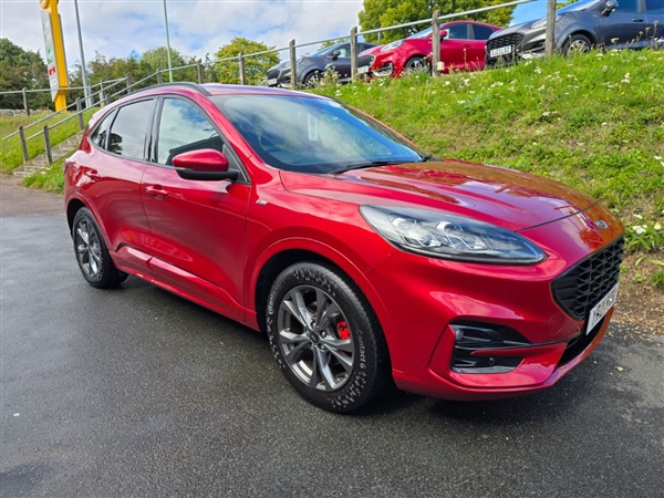 Large image for the Used Ford Kuga