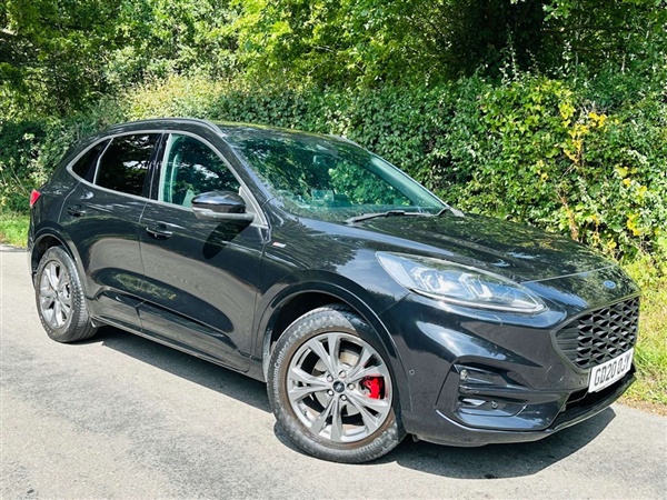 Large image for the Used Ford Kuga
