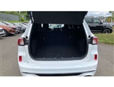 Ford Kuga Image 4