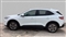 Ford Kuga Image 5