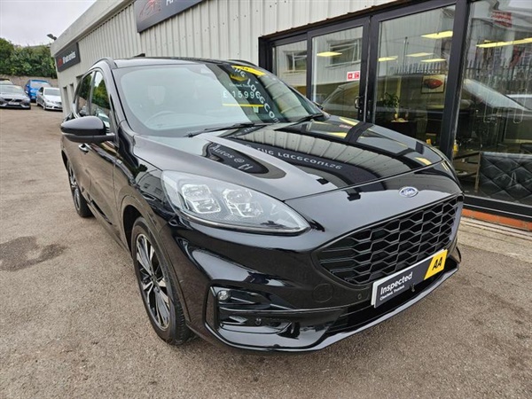Large image for the Used Ford Kuga
