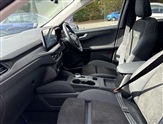 Ford Kuga Image 6